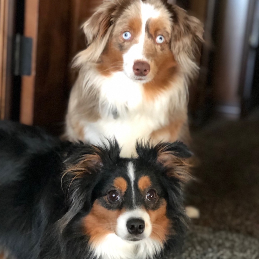 Meet your Posher, Lee